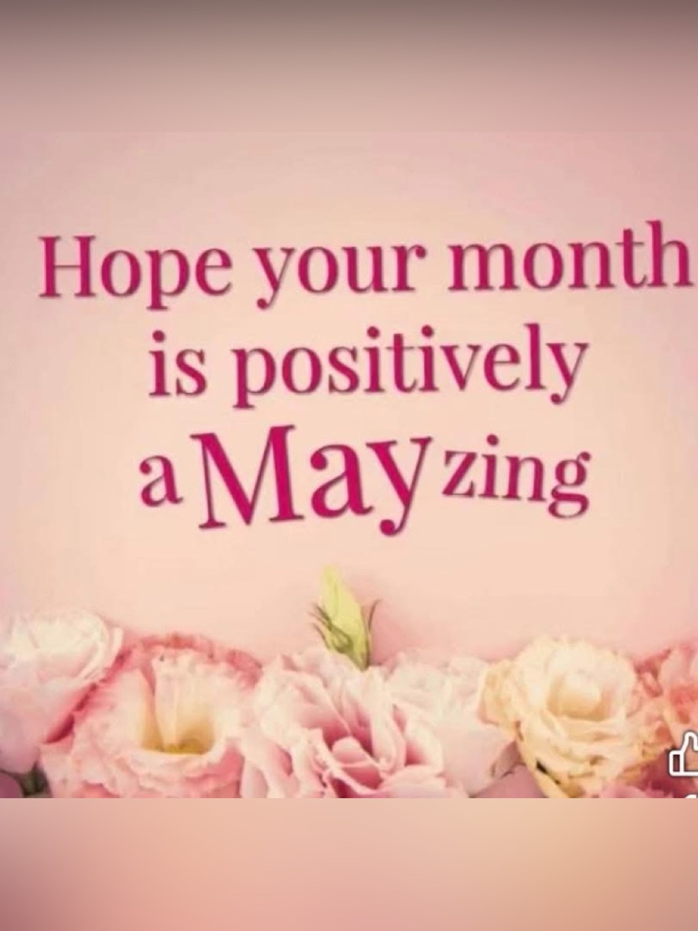 Wishing everyone a phenomenal month of huge sales & fun - Picture 6 of 16